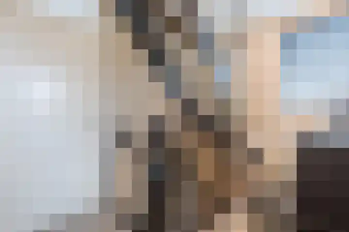 Bladkoninkje 11 Boxmeer thumbnail 23