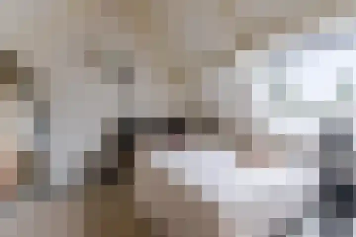 Bladkoninkje 11 Boxmeer thumbnail 24