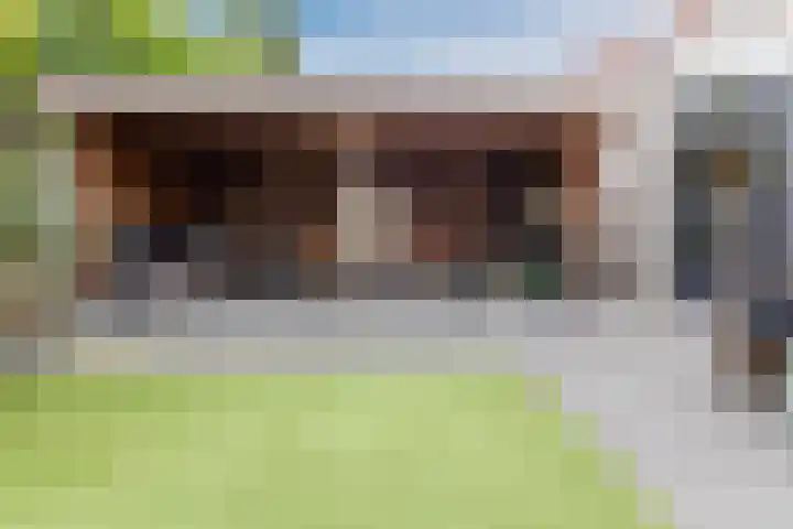 Bladkoninkje 11 Boxmeer thumbnail 25