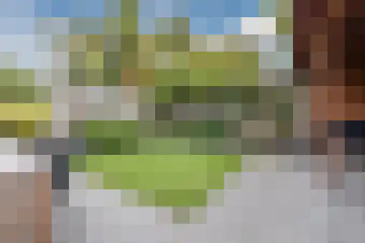 Bladkoninkje 11 Boxmeer thumbnail 26