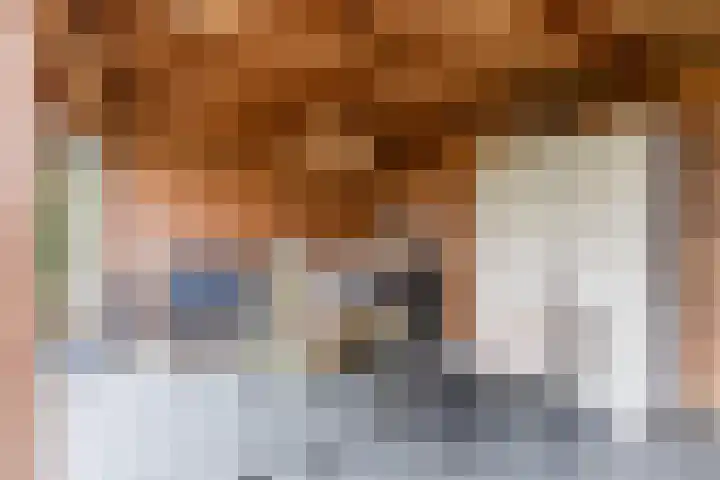 Bladkoninkje 11 Boxmeer thumbnail 27