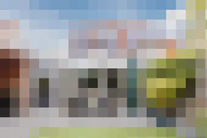 Bladkoninkje 11 Boxmeer thumbnail 29