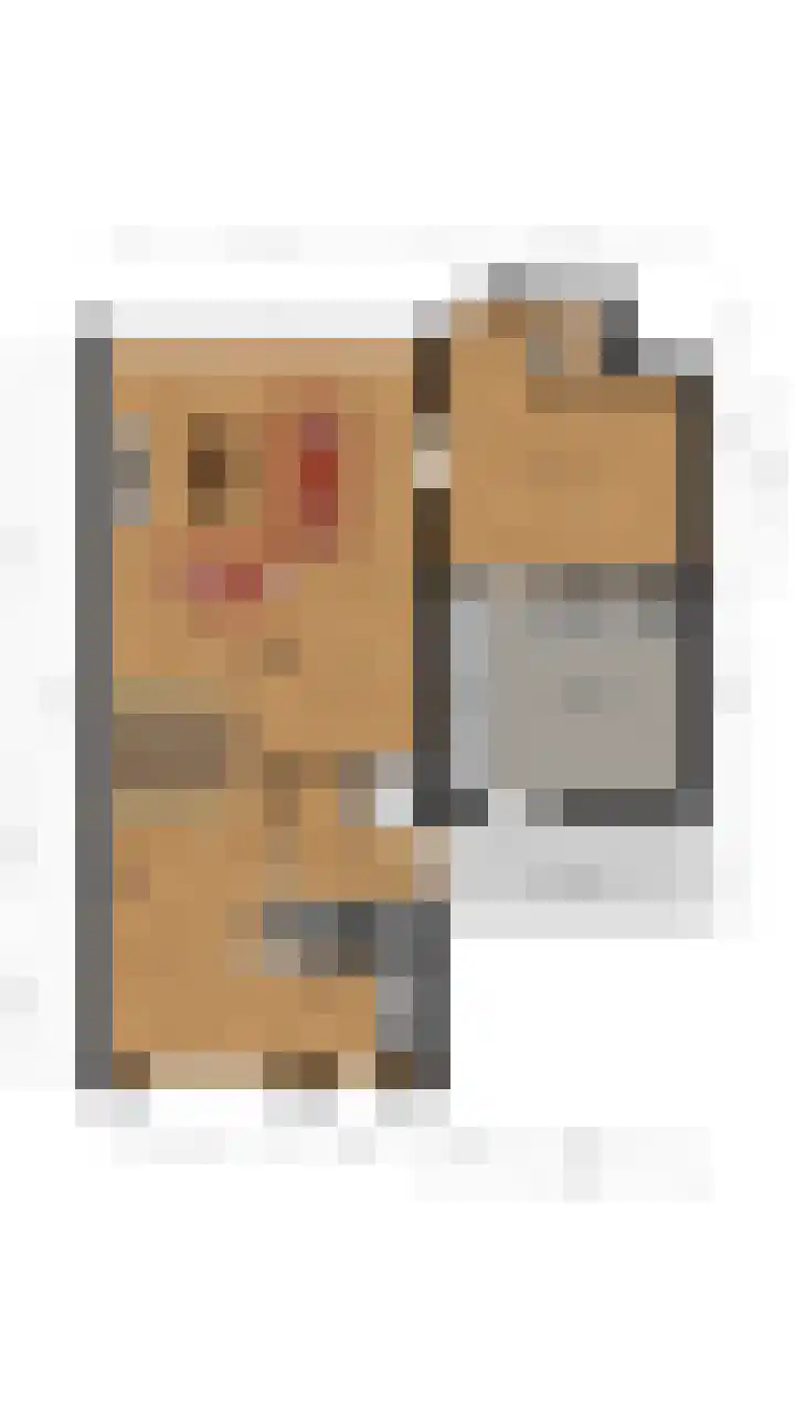 Bladkoninkje 11 Boxmeer thumbnail 30