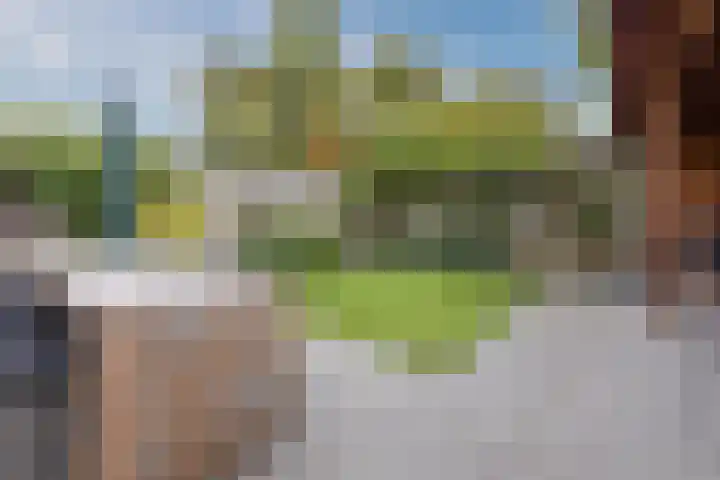 Bladkoninkje 11 Boxmeer thumbnail 4