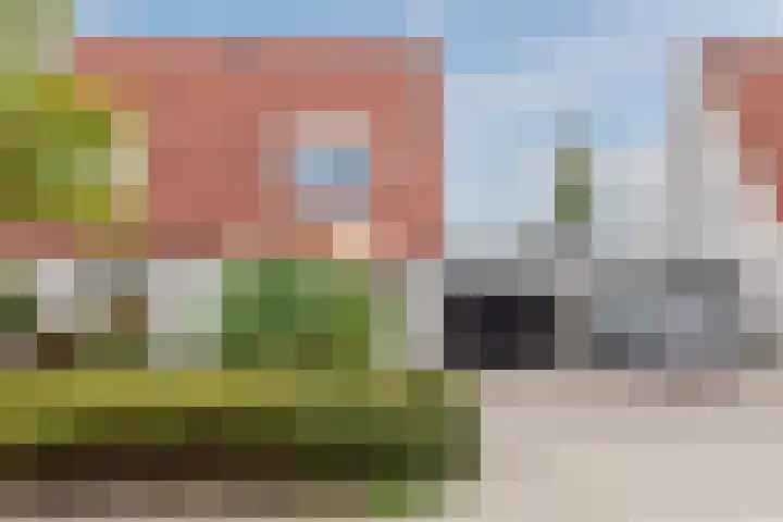 Bladkoninkje 11 Boxmeer thumbnail 5