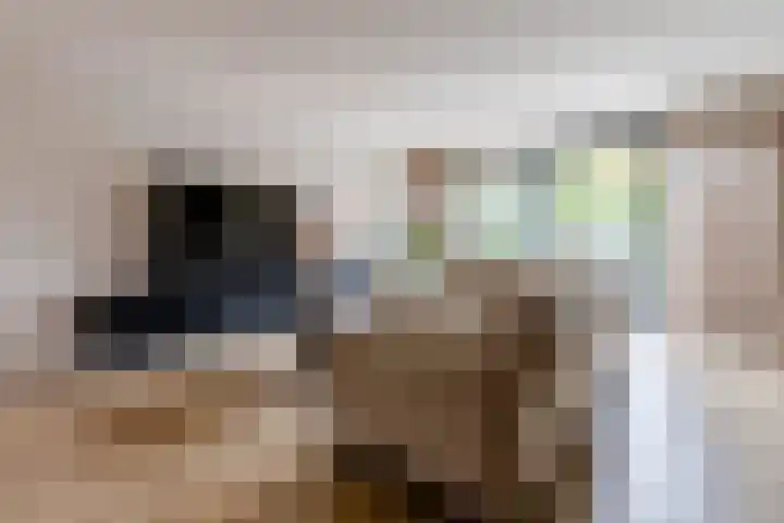 Bladkoninkje 11 Boxmeer thumbnail 6