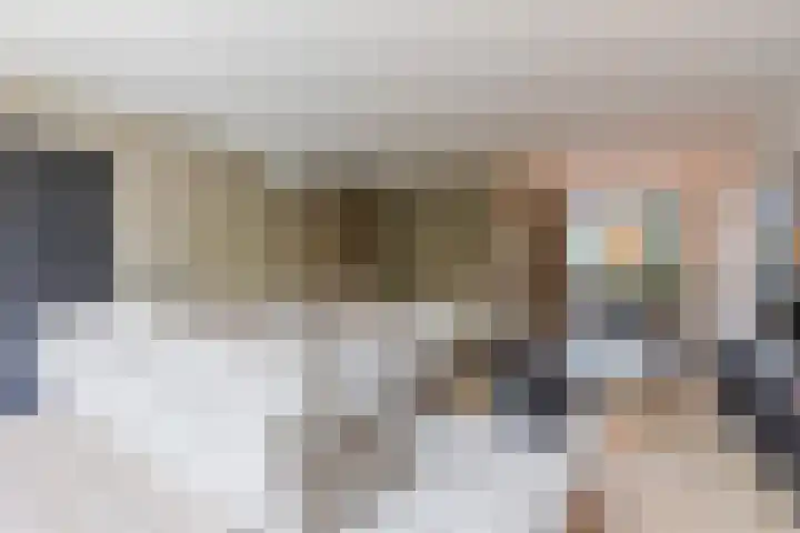 Bladkoninkje 11 Boxmeer thumbnail 7