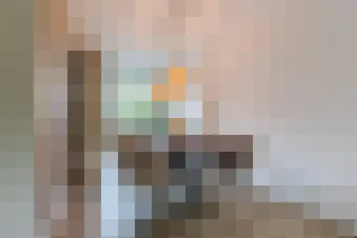 Bladkoninkje 11 Boxmeer thumbnail 8