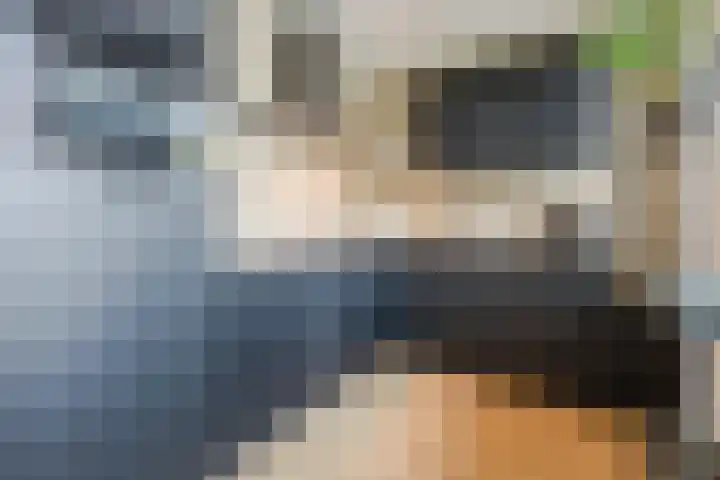 Bladkoninkje 11 Boxmeer thumbnail 9