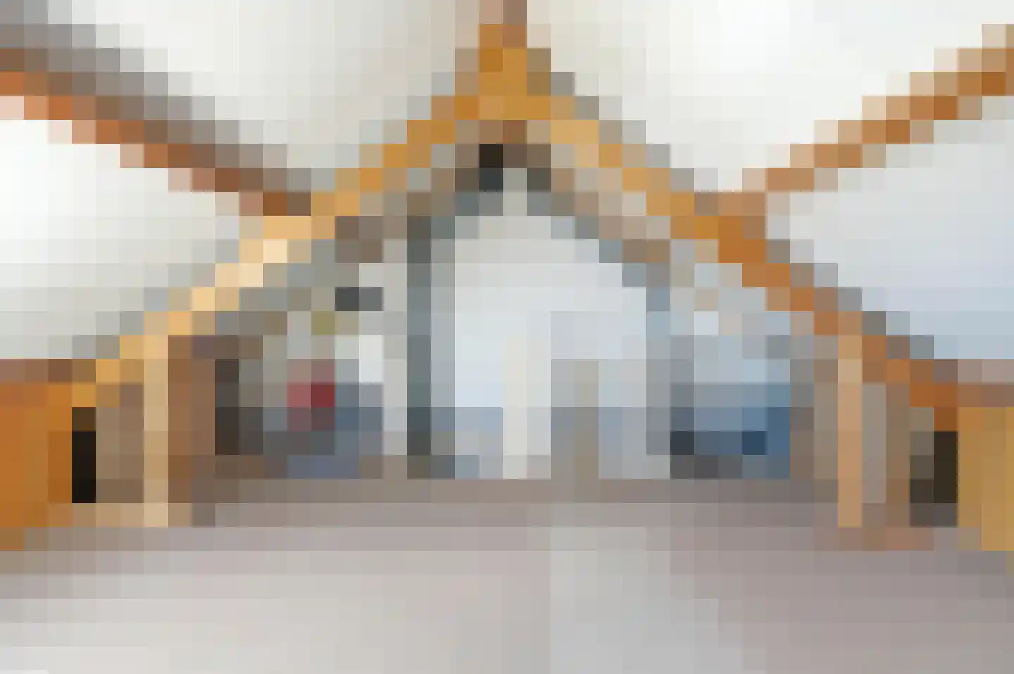 Bladkoninkje 25 Boxmeer thumbnail 20