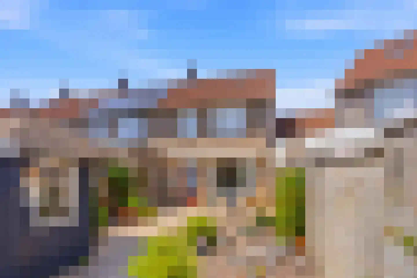 Bladkoninkje 25 Boxmeer thumbnail 21