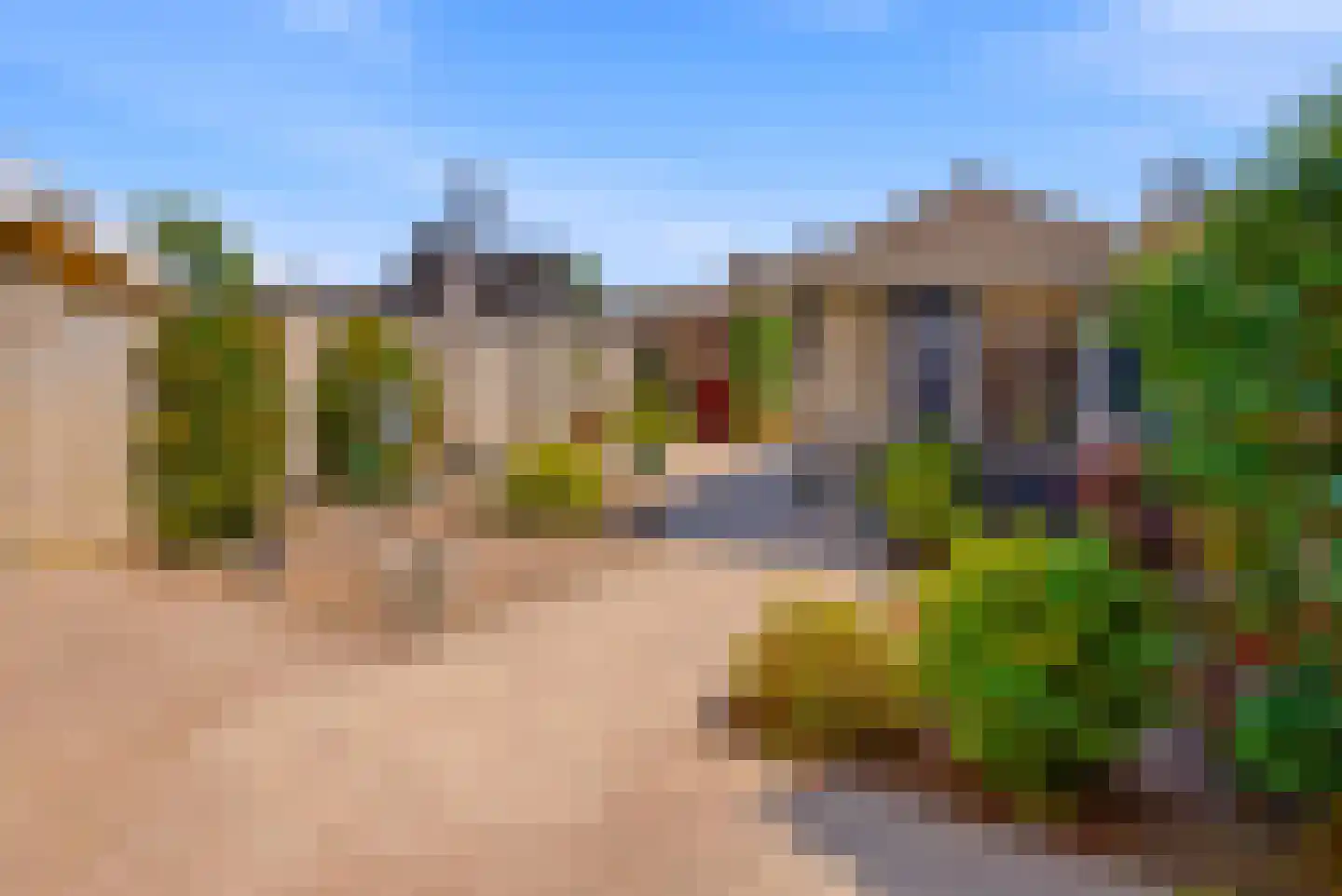 Bladkoninkje 25 Boxmeer thumbnail 22