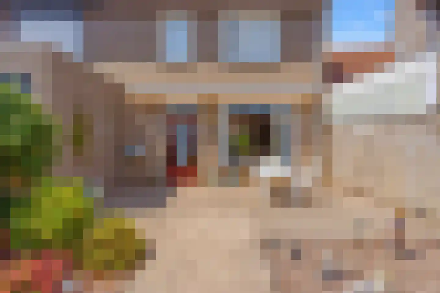 Bladkoninkje 25 Boxmeer thumbnail 24