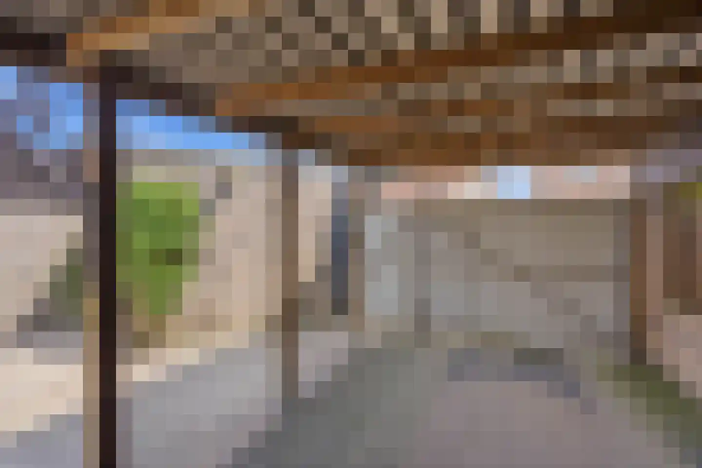 Bladkoninkje 25 Boxmeer thumbnail 25
