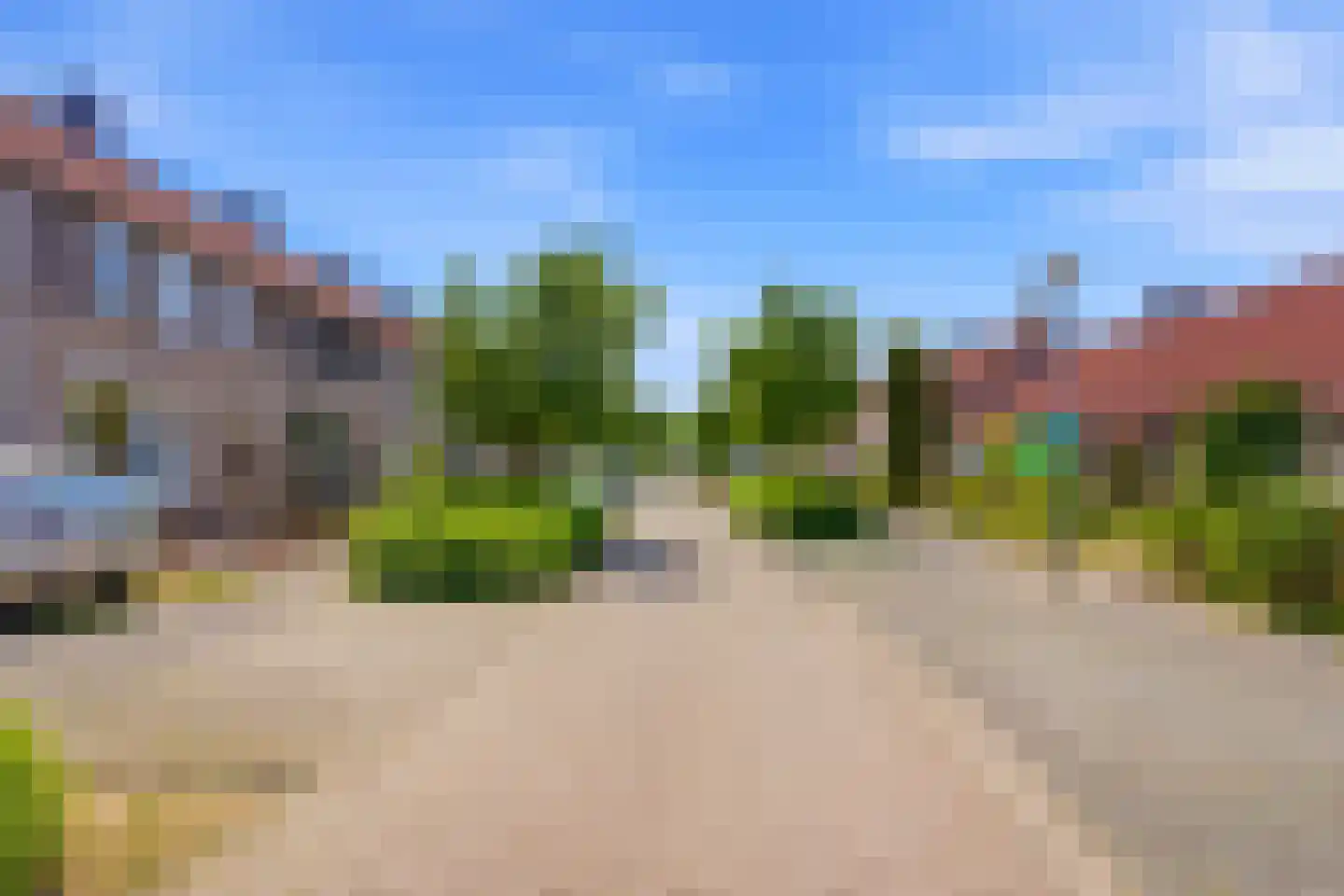 Bladkoninkje 25 Boxmeer thumbnail 26