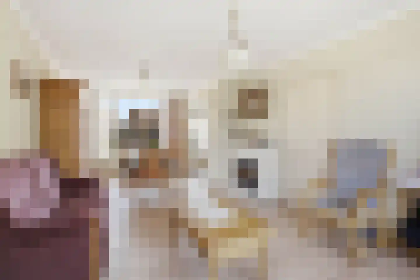 Bladkoninkje 25 Boxmeer thumbnail 4