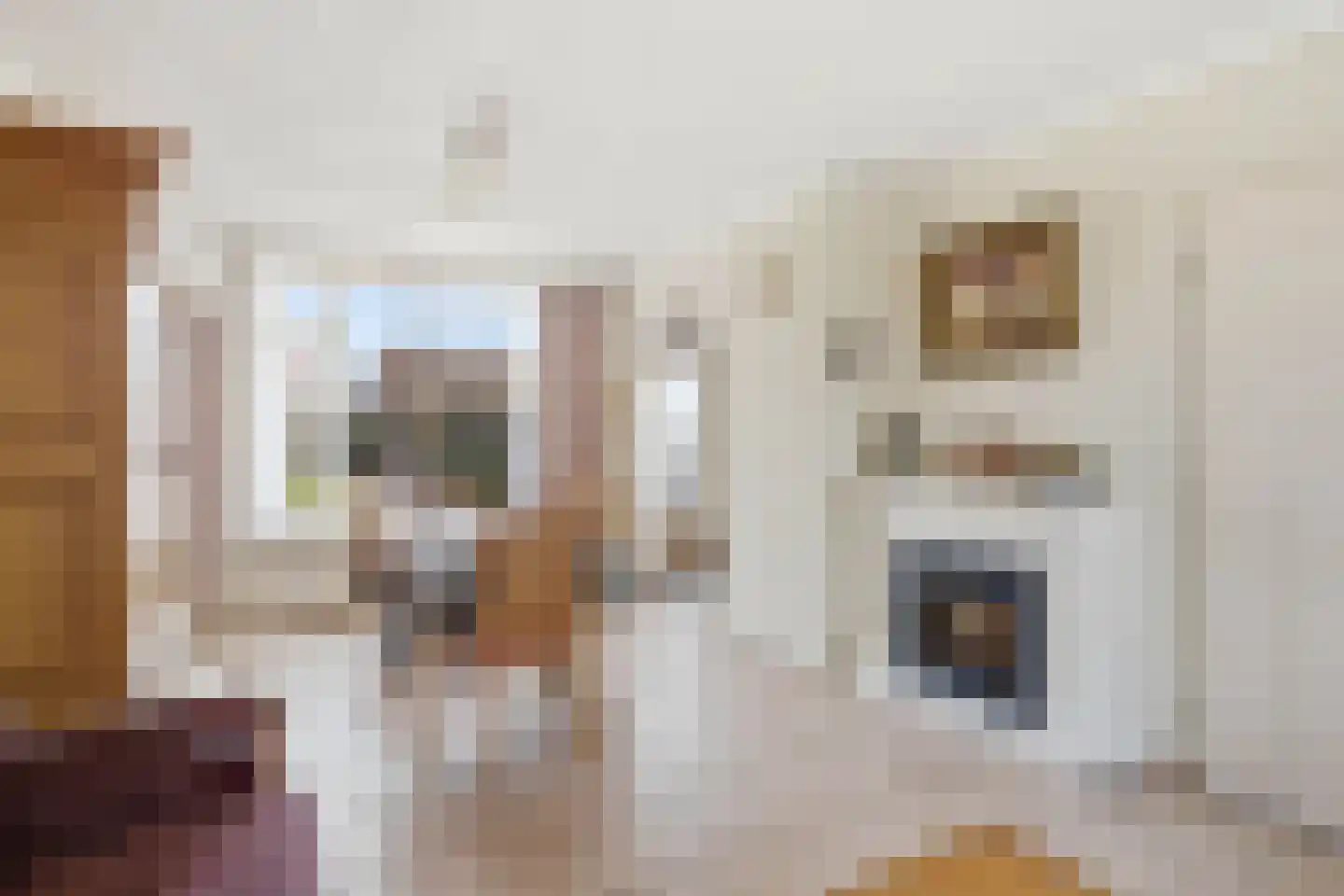 Bladkoninkje 25 Boxmeer thumbnail 5
