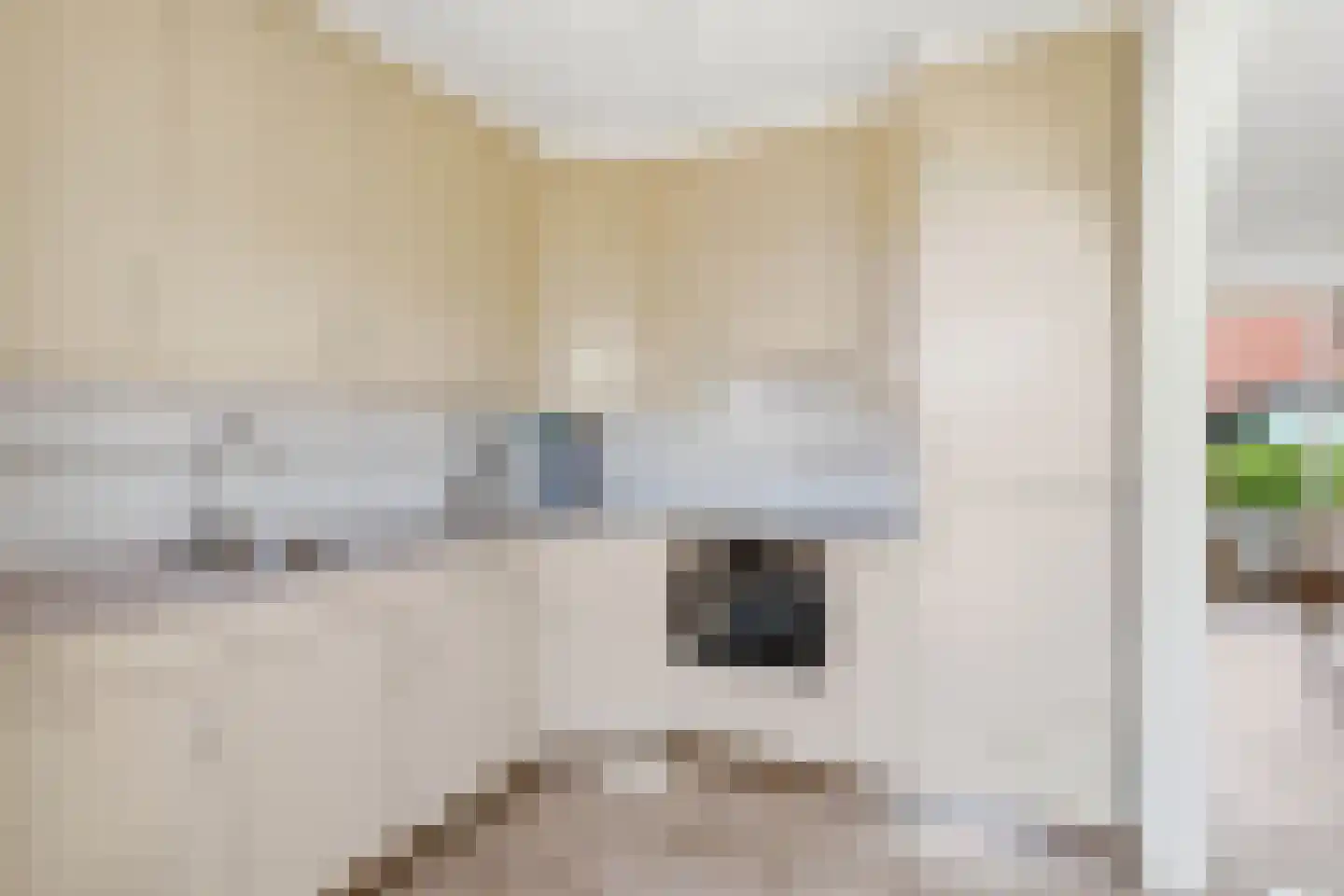 Bladkoninkje 25 Boxmeer thumbnail 8