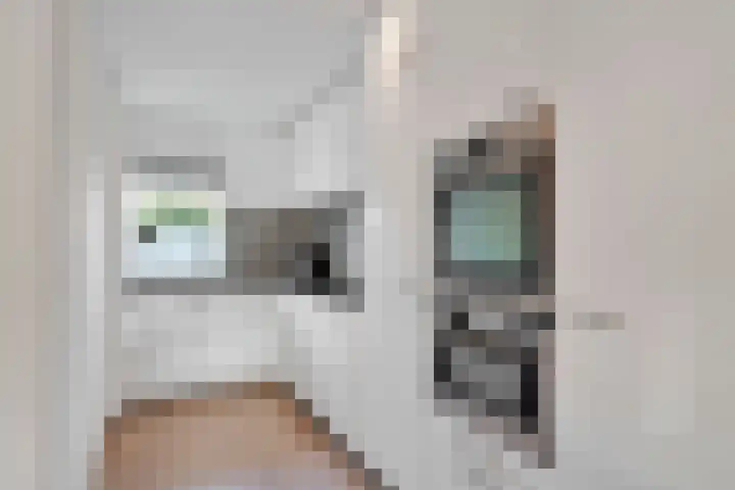Bladmos 25 Nieuwerkerk aan den IJssel thumbnail 10