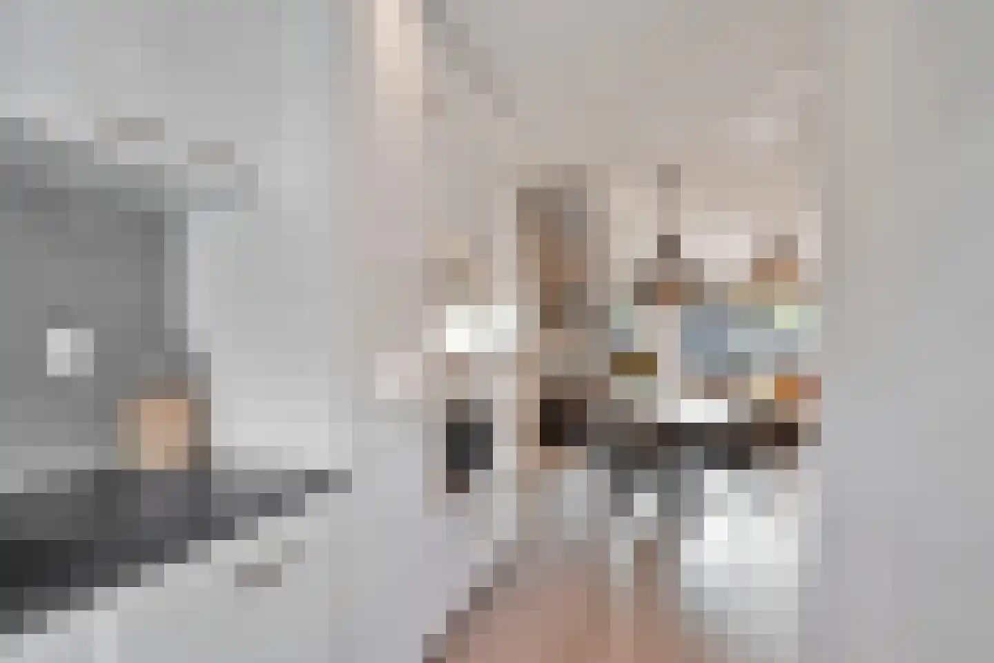 Bladmos 25 Nieuwerkerk aan den IJssel thumbnail 11