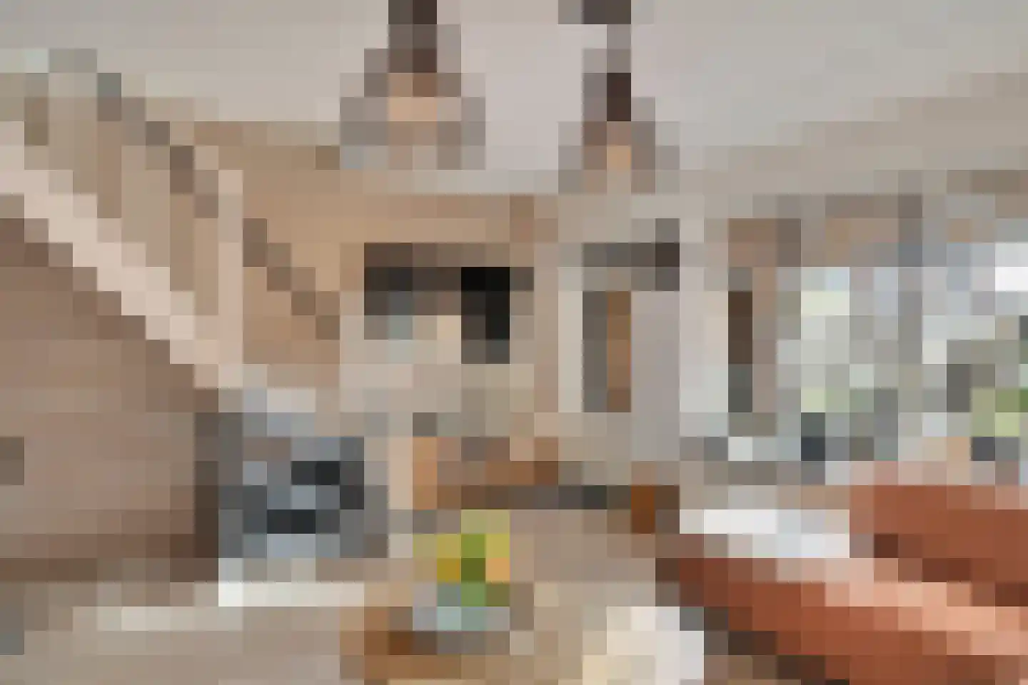 Bladmos 25 Nieuwerkerk aan den IJssel thumbnail 12