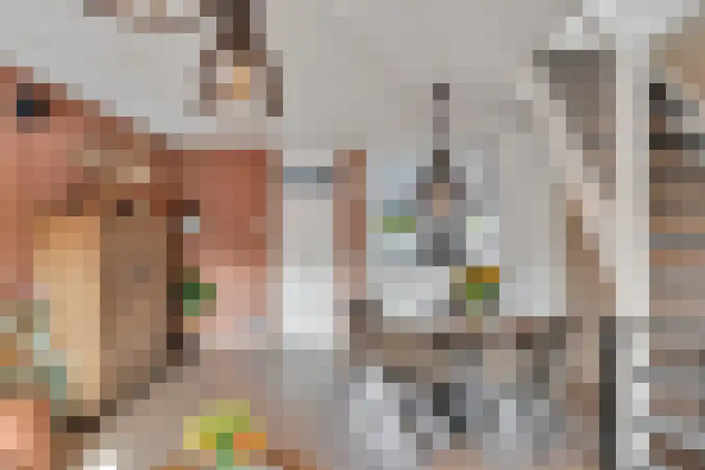Bladmos 25 Nieuwerkerk aan den IJssel thumbnail 13