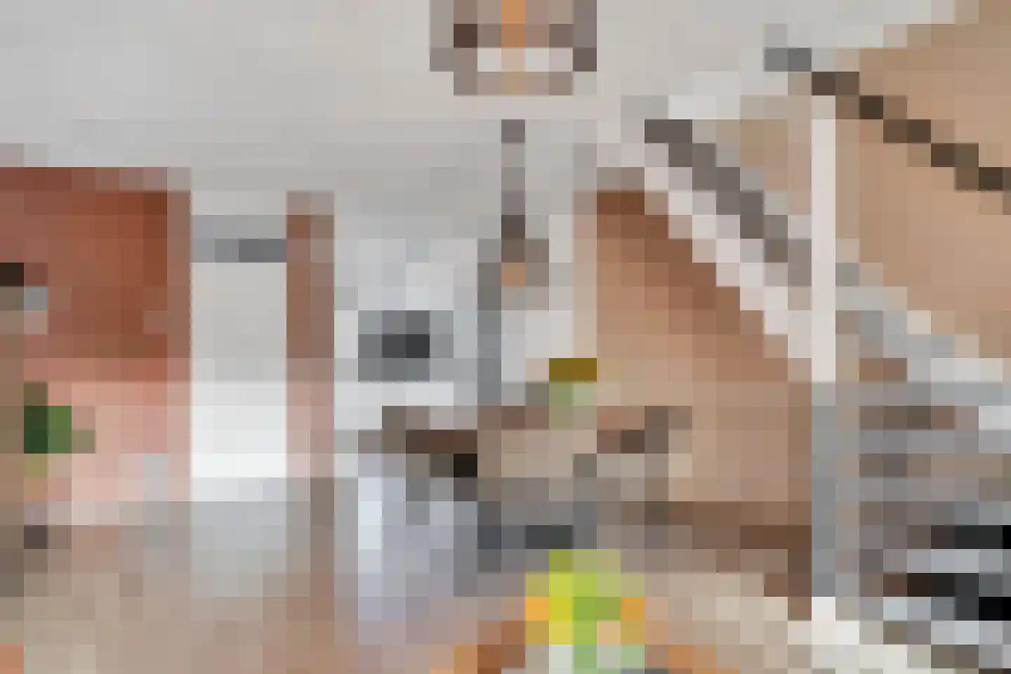 Bladmos 25 Nieuwerkerk aan den IJssel thumbnail 14