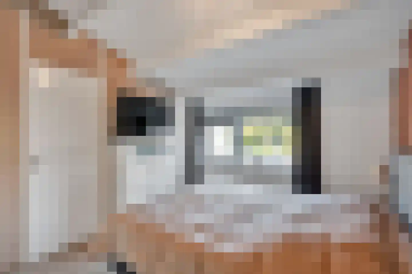 Bladmos 25 Nieuwerkerk aan den IJssel thumbnail 17