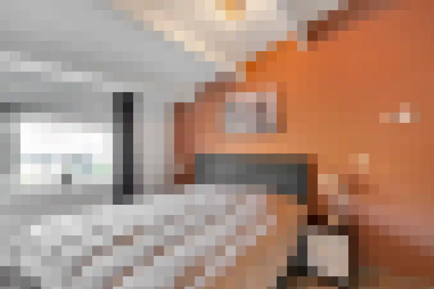 Bladmos 25 Nieuwerkerk aan den IJssel thumbnail 18
