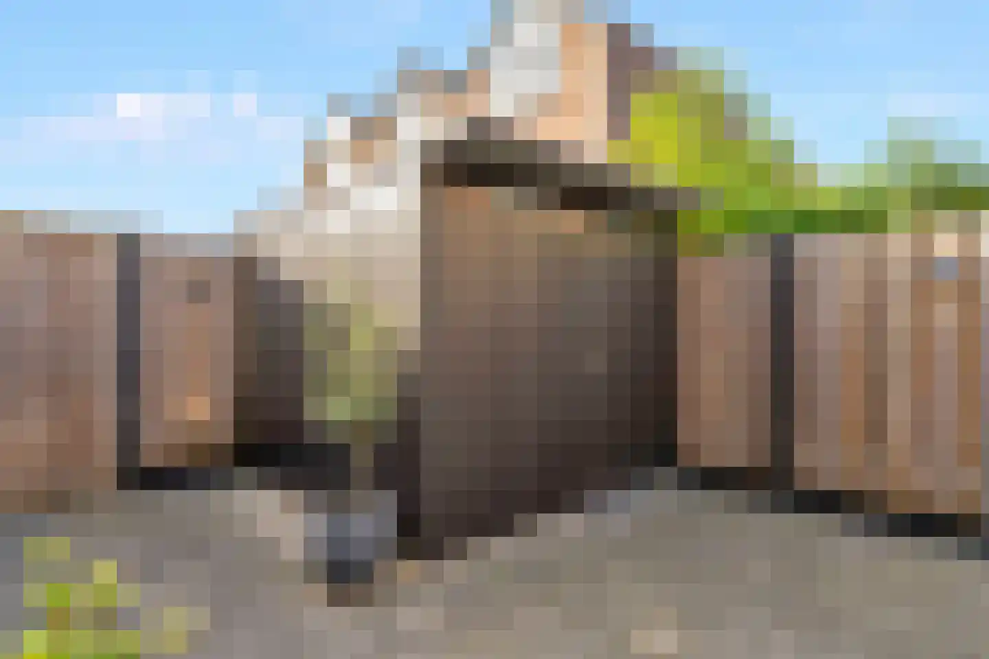 Bladmos 25 Nieuwerkerk aan den IJssel thumbnail 26