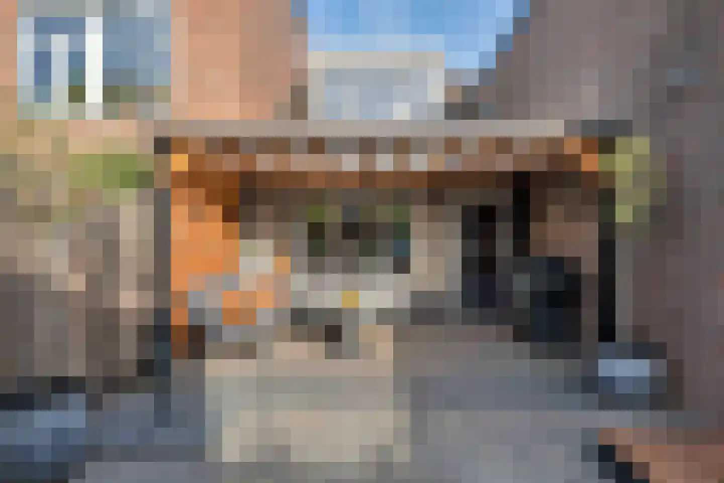 Bladmos 25 Nieuwerkerk aan den IJssel thumbnail 27