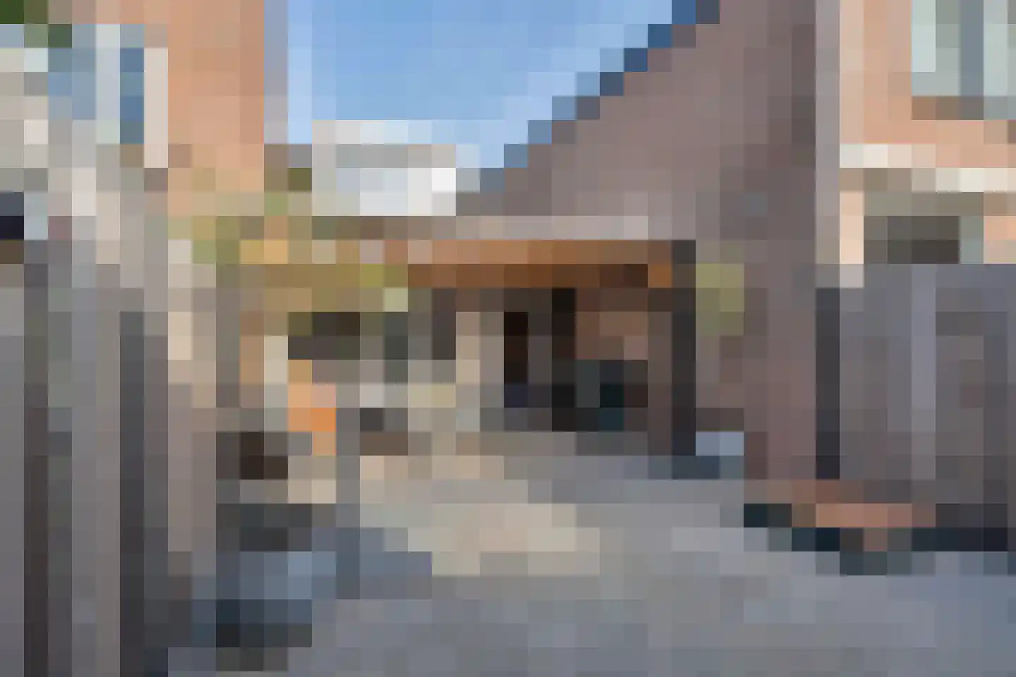 Bladmos 25 Nieuwerkerk aan den IJssel thumbnail 28