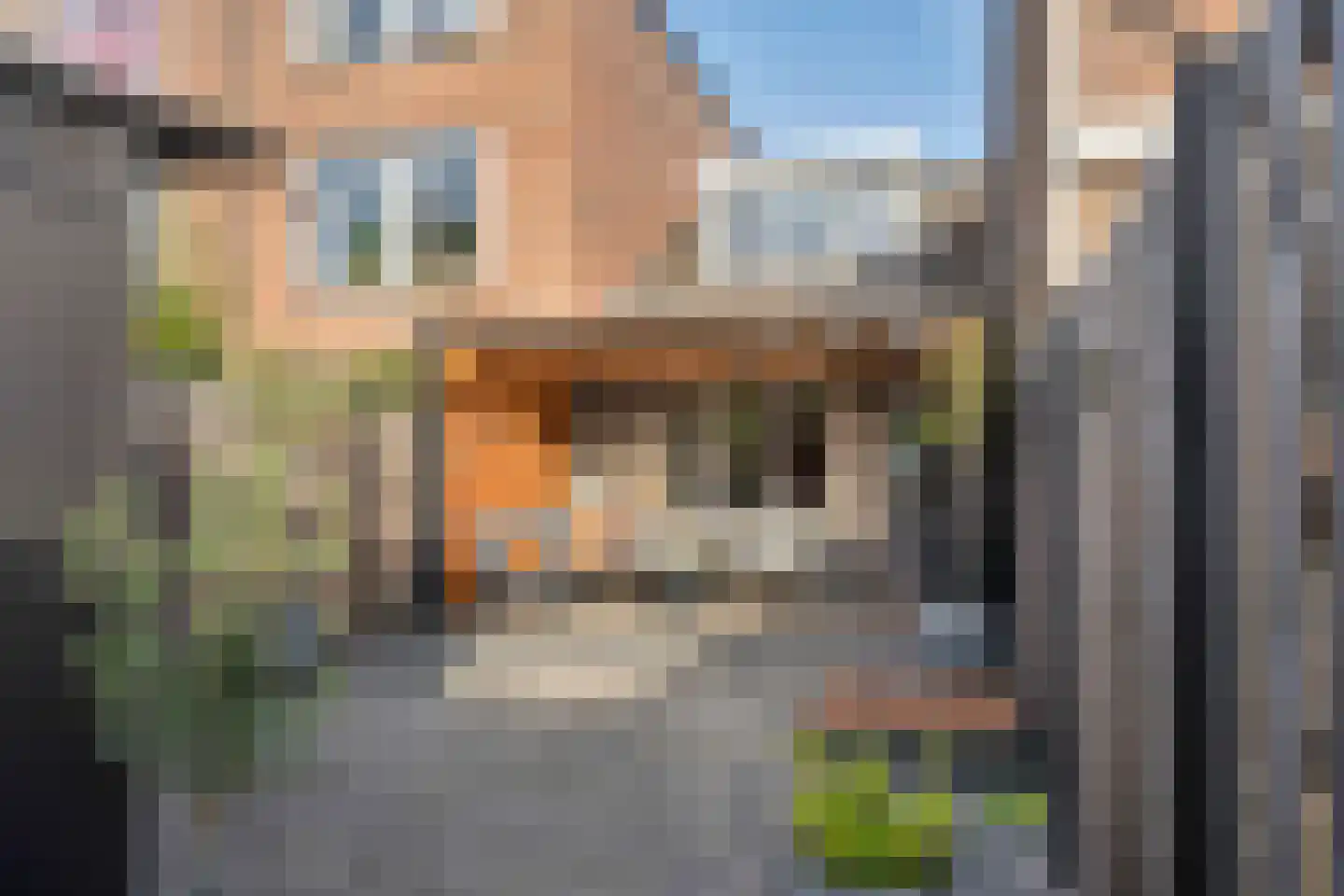 Bladmos 25 Nieuwerkerk aan den IJssel thumbnail 29