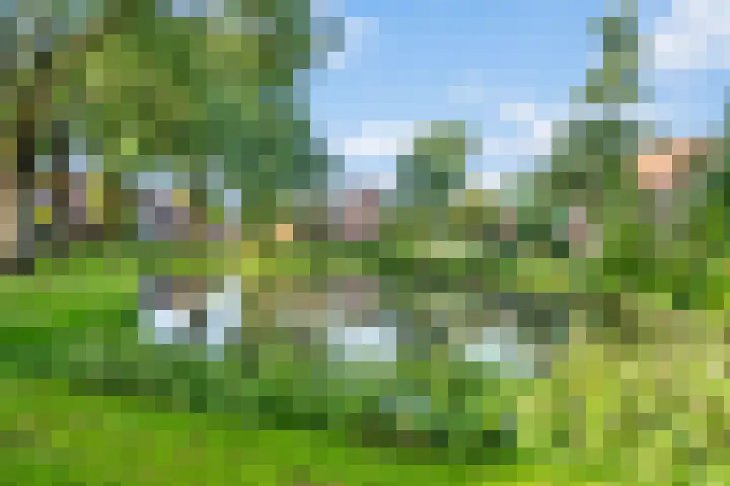Bladmos 25 Nieuwerkerk aan den IJssel thumbnail 35