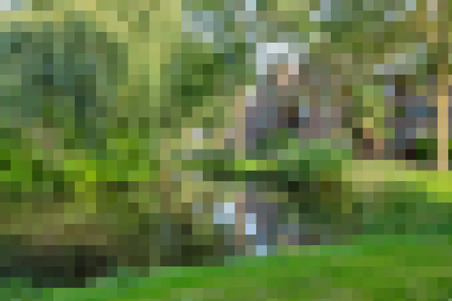 Bladmos 25 Nieuwerkerk aan den IJssel thumbnail 36