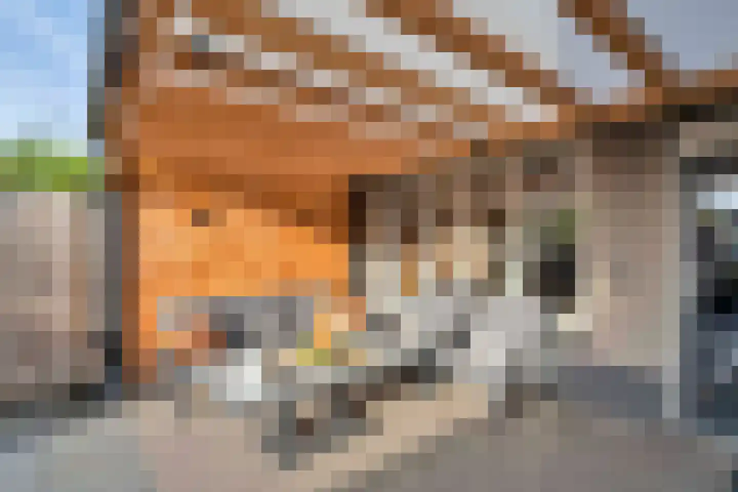 Bladmos 25 Nieuwerkerk aan den IJssel thumbnail 4