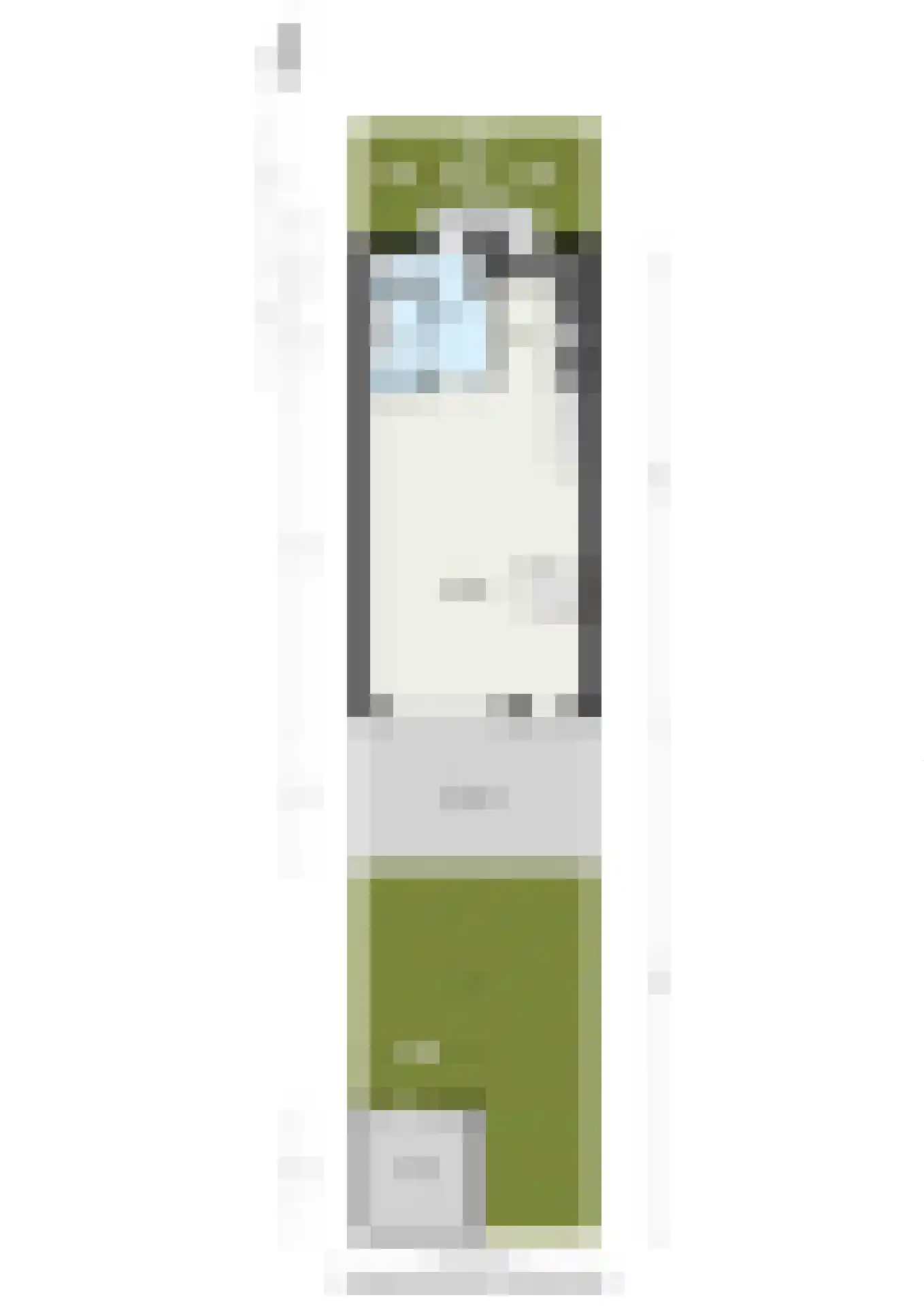 Bladmos 25 Nieuwerkerk aan den IJssel thumbnail 41