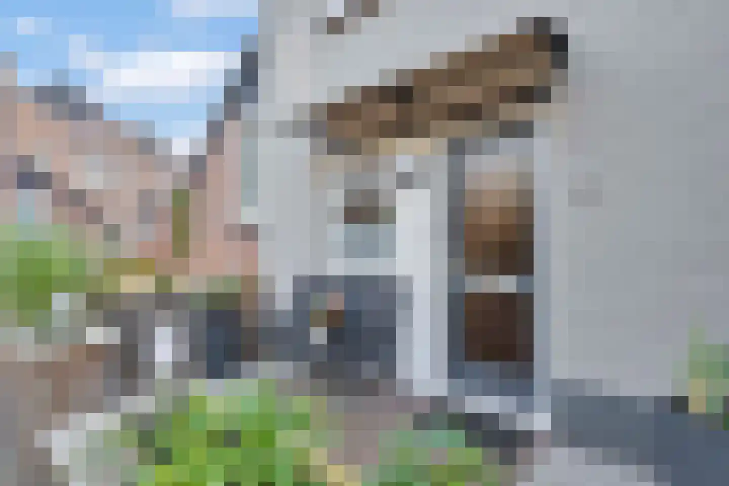 Bladmos 25 Nieuwerkerk aan den IJssel thumbnail 6