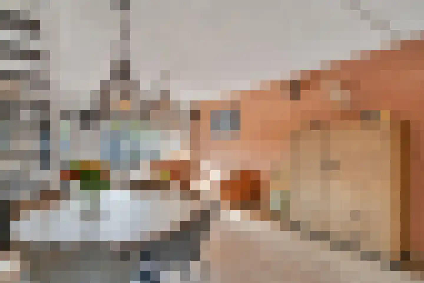 Bladmos 25 Nieuwerkerk aan den IJssel thumbnail 8