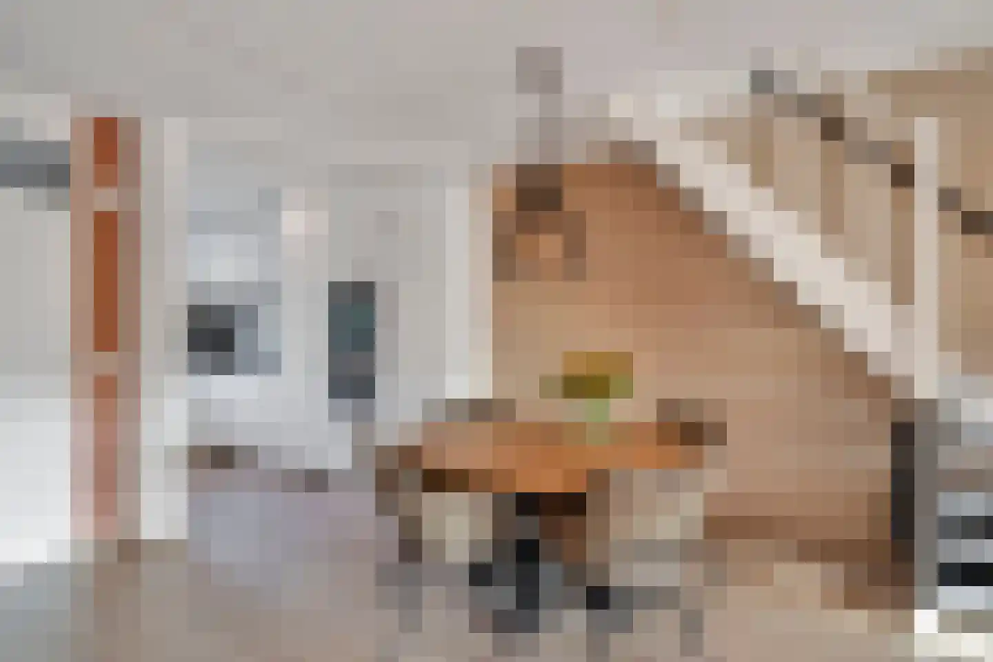 Bladmos 25 Nieuwerkerk aan den IJssel thumbnail 9