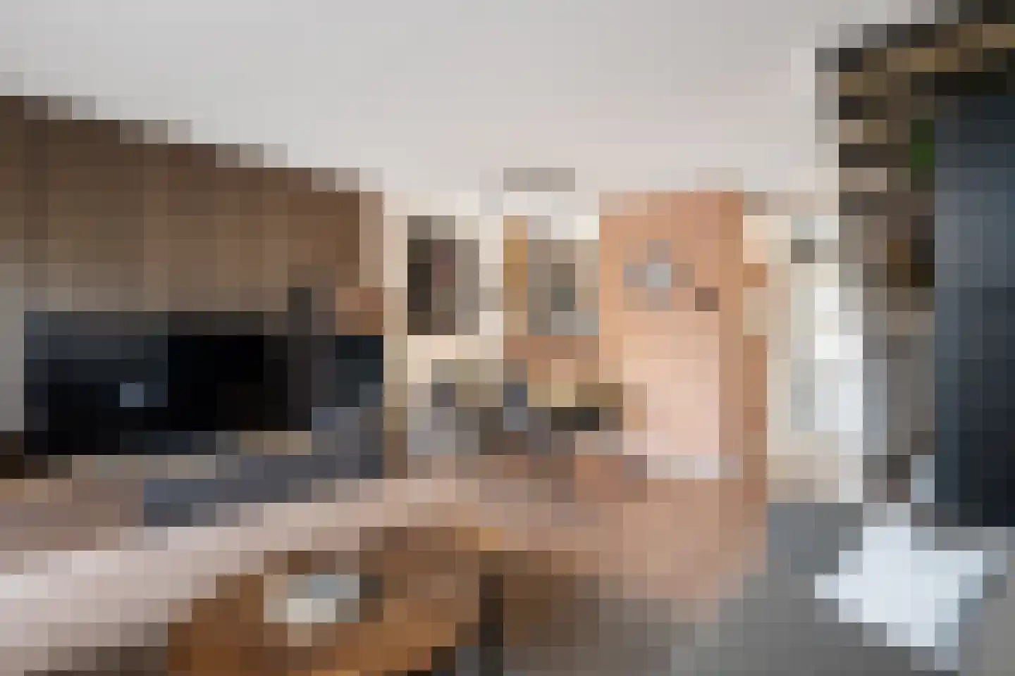 Bladmos 34 Nieuwerkerk aan den IJssel thumbnail 10
