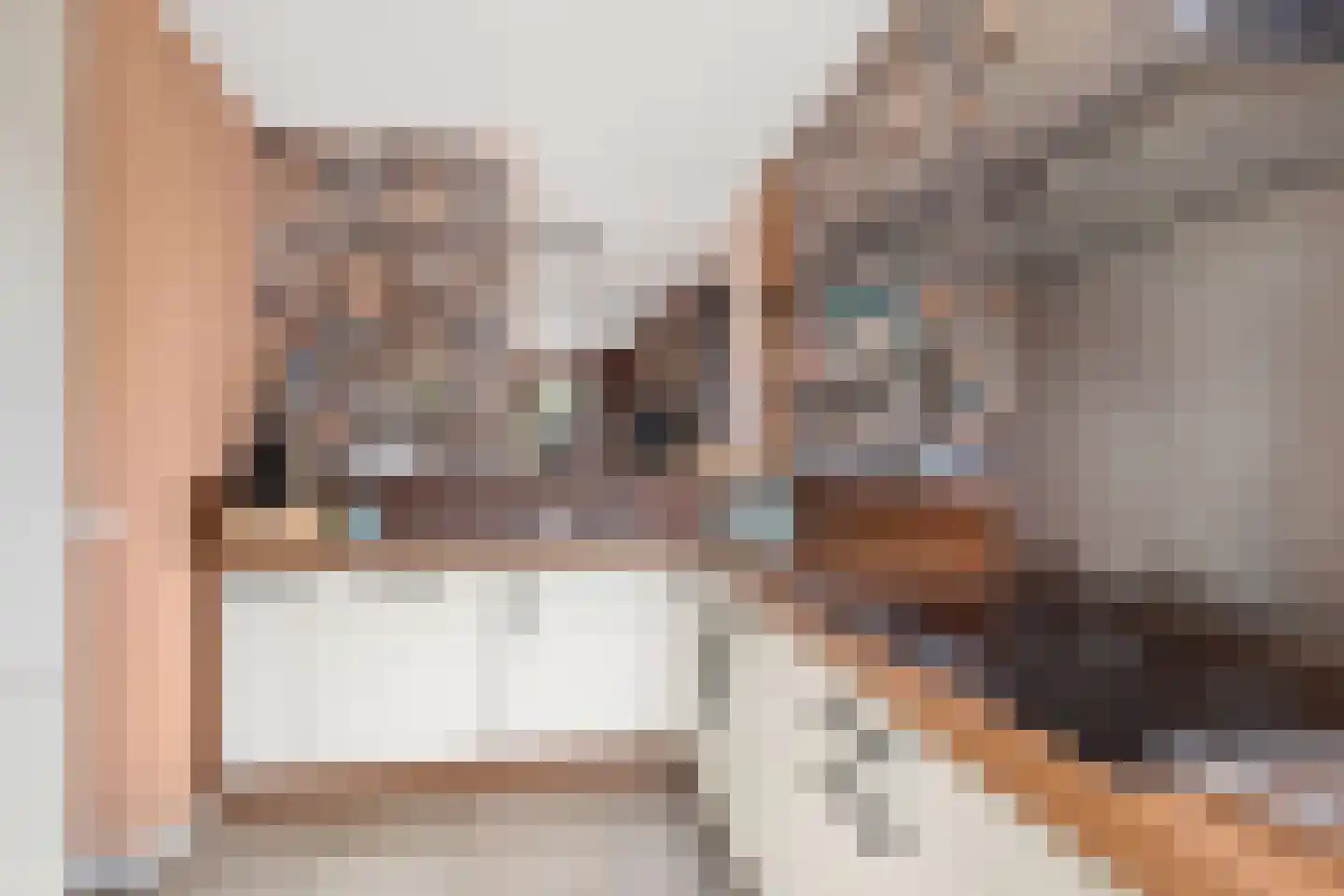 Bladmos 34 Nieuwerkerk aan den IJssel thumbnail 12