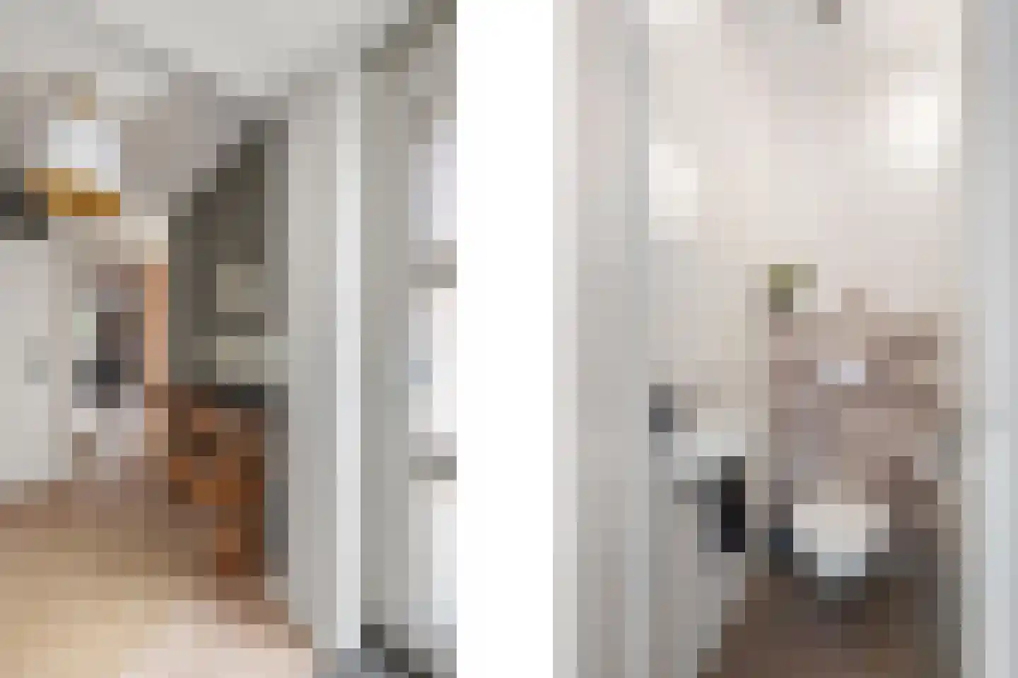 Bladmos 34 Nieuwerkerk aan den IJssel thumbnail 14