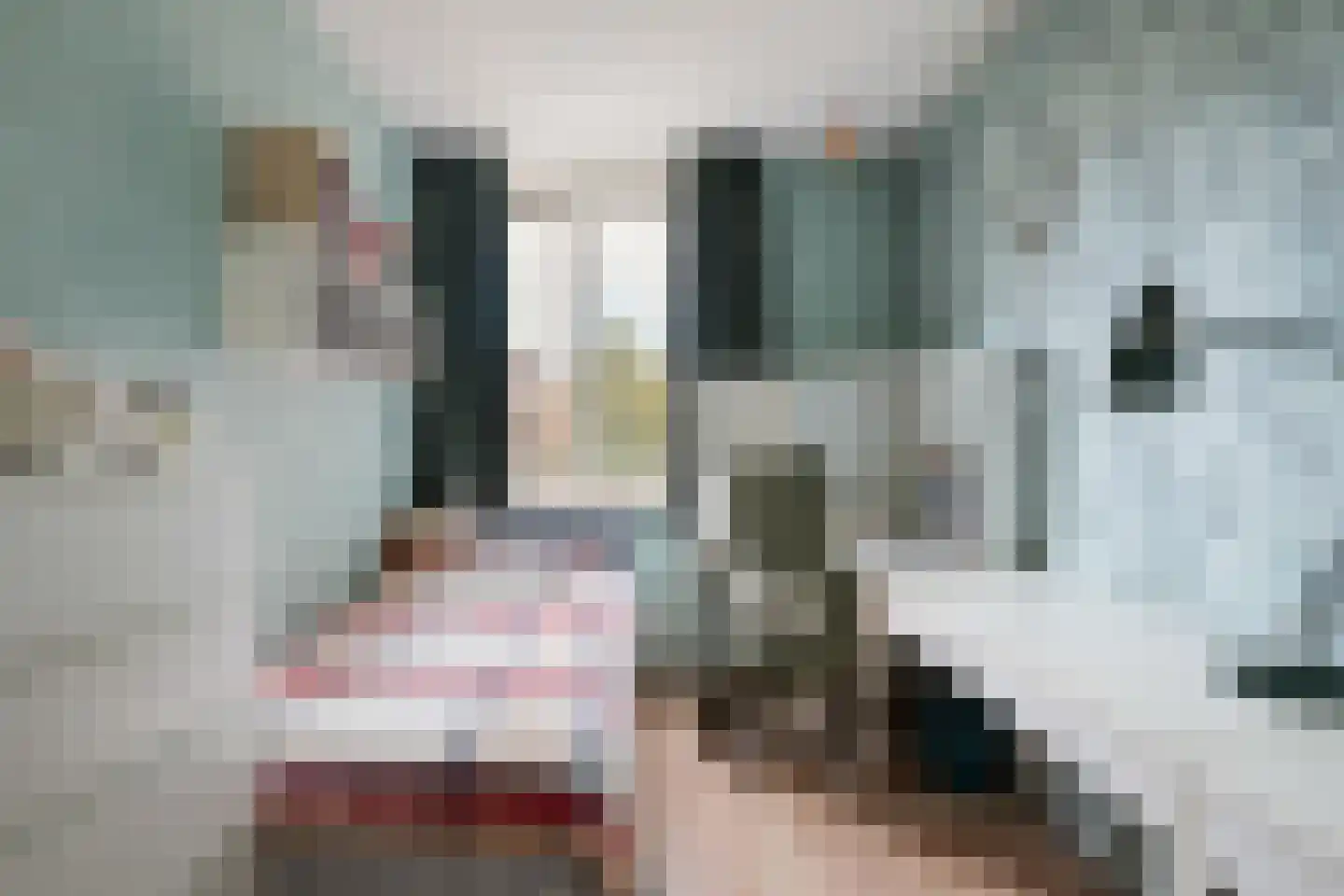 Bladmos 34 Nieuwerkerk aan den IJssel thumbnail 15