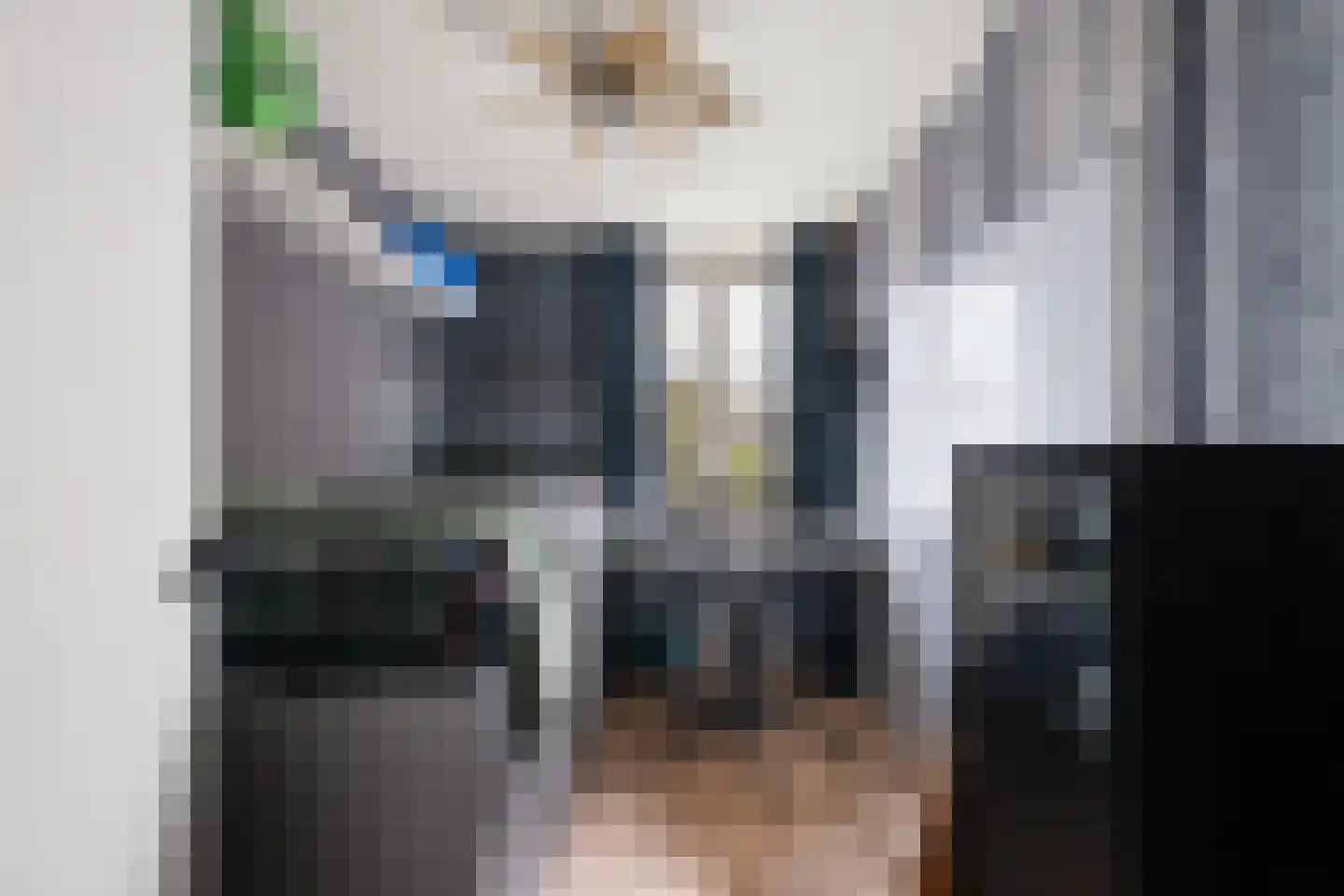 Bladmos 34 Nieuwerkerk aan den IJssel thumbnail 17