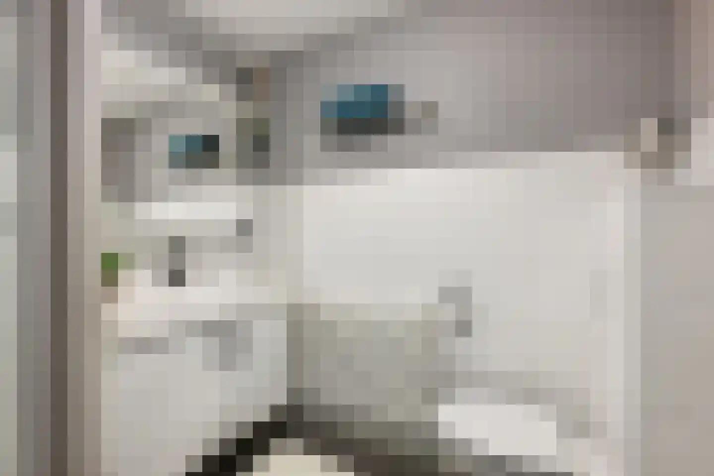 Bladmos 34 Nieuwerkerk aan den IJssel thumbnail 21