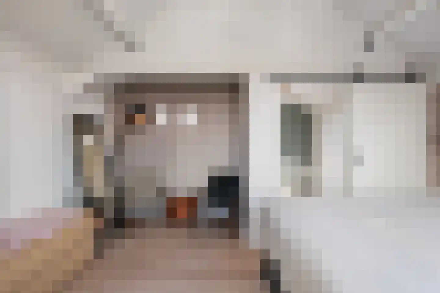 Bladmos 34 Nieuwerkerk aan den IJssel thumbnail 24