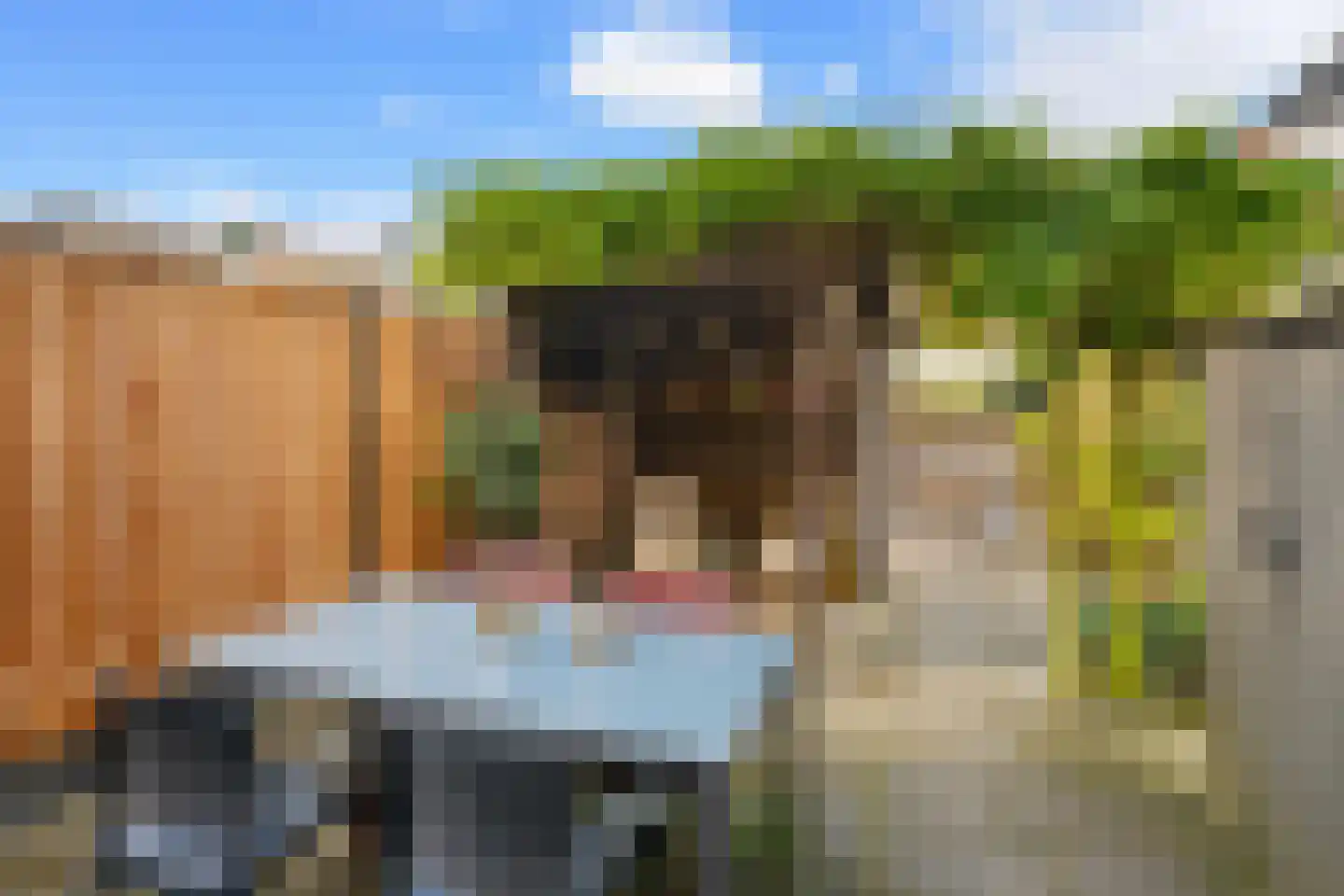 Bladmos 34 Nieuwerkerk aan den IJssel thumbnail 29