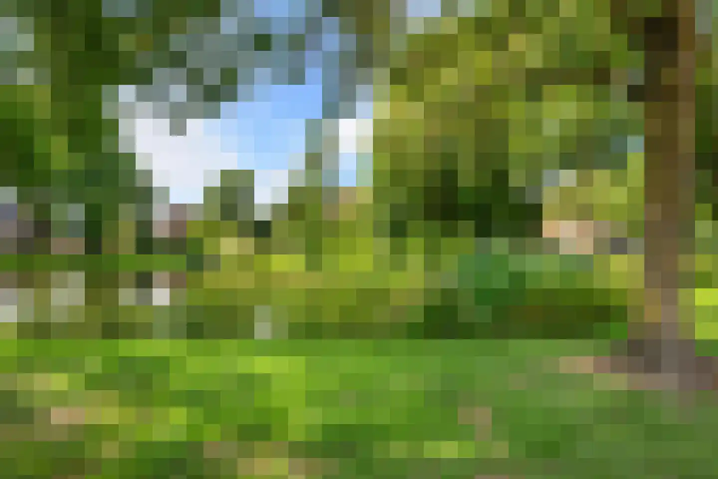 Bladmos 34 Nieuwerkerk aan den IJssel thumbnail 33