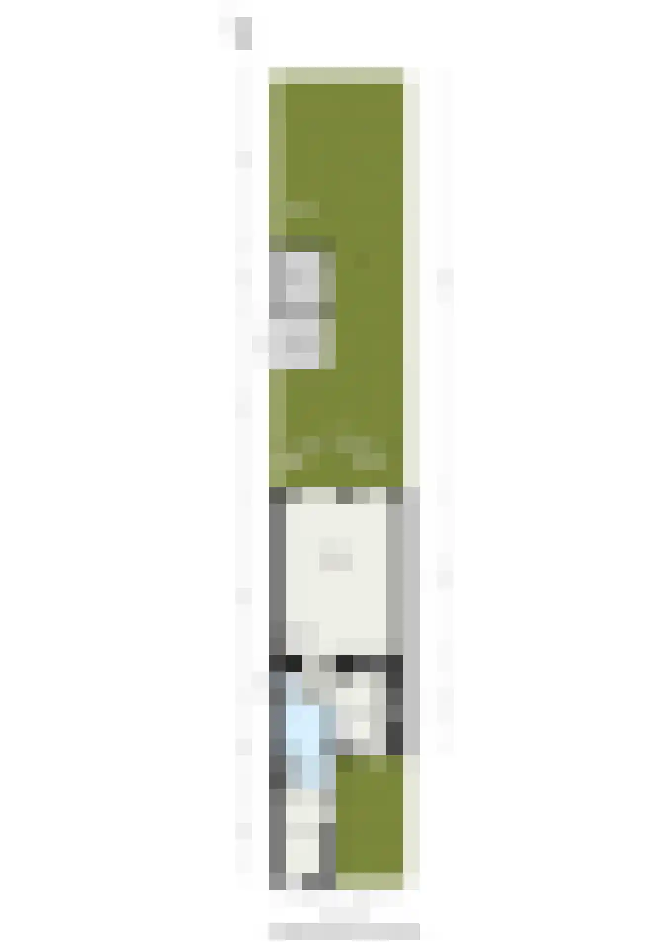 Bladmos 34 Nieuwerkerk aan den IJssel thumbnail 37